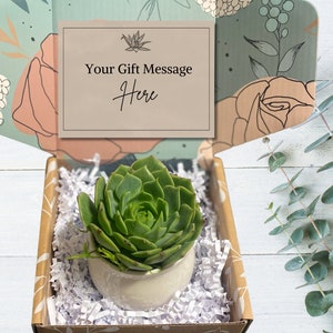Succulent Gift - Customize Your Card - Succulent in Ceramic Pot with Bamboo Tray - Choose Your Card Message - Employee Gift - Client Gift