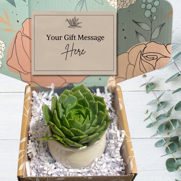 Succulent Gift - Customize Your Card - Succulent in Ceramic Pot with Bamboo Tray - Choose Your Card Message - Employee Gift - Client Gift