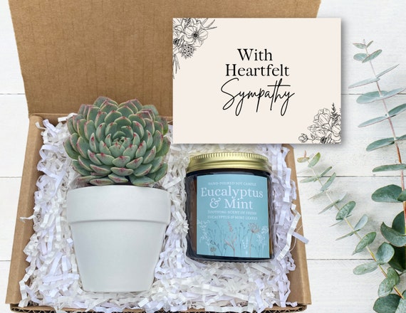 Sympathy Gift Box - Sympathy Care Package - Plant Gift Box - Loss of Loved One - Comforting Gift