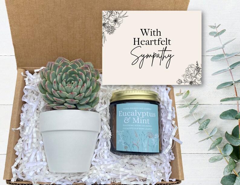 Sympathy Gift Box Sympathy Care Package Plant Gift Box Etsy