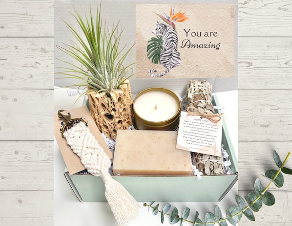 You Are Amazing Gift Box - Plant Care Package - Home Decor Gift - Appreciation Gifts - Summer Gifts