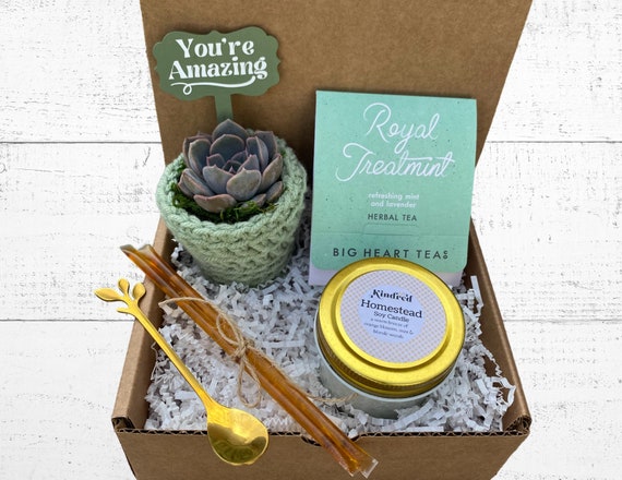 Tea & Plant Gift Box - Care Package - Plant Gift Box - Succulent with Plant Cozy and Plant Stake, Tea for Two, Soy Candle and Golden Spoon