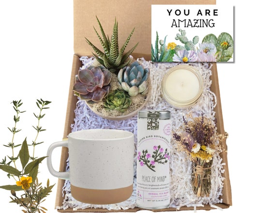 You Are Amazing Gift Basket - Care Package - Appreciation Gift - Succulent Arrangement Gift - Thank You Gift Basket