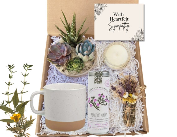 Sympathy Gift Basket - Care Package For Loss of Loved One - Grief Comfort Gift - Succulent Arrangement Gift - Gift Basket for Sympathy