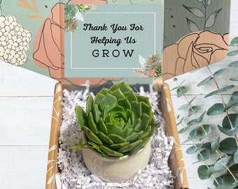 Gift for Clients - Employee Gift - Succulent in Ceramic Pot with Bamboo Tray - Gift for Employees - Party Favors - Teacher Gifts