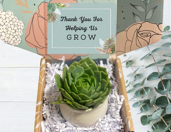 Gift for Clients - Employee Gift - Succulent in Ceramic Pot - Gift for Employees - Party Favors - Teacher Gifts