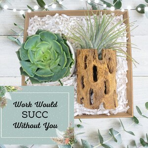 Desk Decor Employee Gifts - Corporate Gifts - Client Gifts - CoWorker Gift - Succulent Gifts - Work Would SUCC Without You