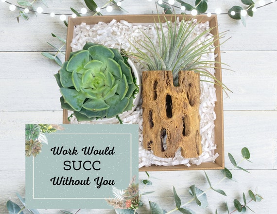 Desk Decor Employee Gifts - Corporate Gifts - Client Gifts - CoWorker Gift - Succulent Gifts - Work Would SUCC Without You
