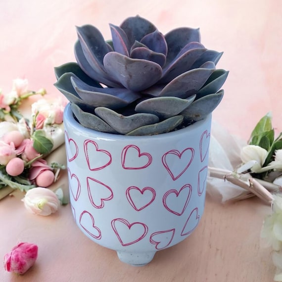 Build a Box Item - Succulent in Pink Heart Planter - Valentine’s Day Succulent