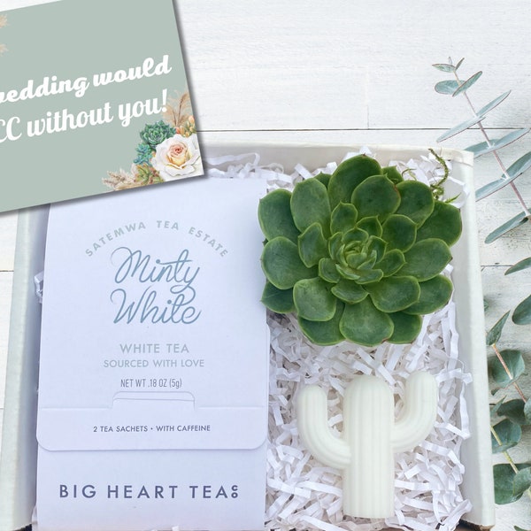 Bridesmaid Proposal Gift Box  - Wedding Favors - Succulent Gifts - Wedding Attendant Gift - Succulent, Mint Tea & Cactus Soap
