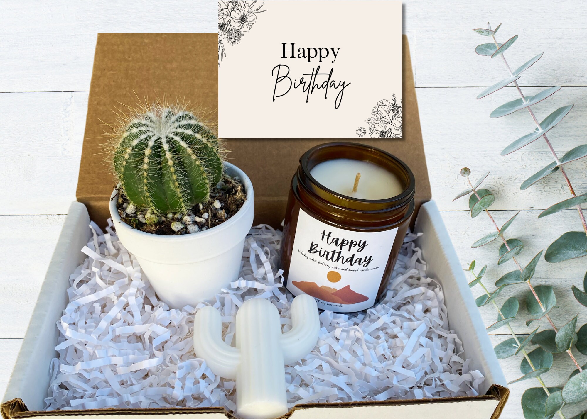 New Parents Gift Succulent Gift Box Parents to Be Ideas New Mom Gift Baby  Shower Gifts New Parents Gift Send a Gift Custom Gift 