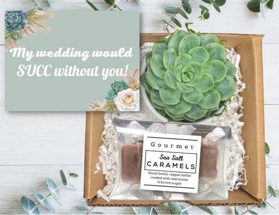 Bridesmaid Gifts - Bridesmaid Proposal Gift - Succulent Care Package - Wedding Attendant Gift - My Wedding Would SUCC Without You
