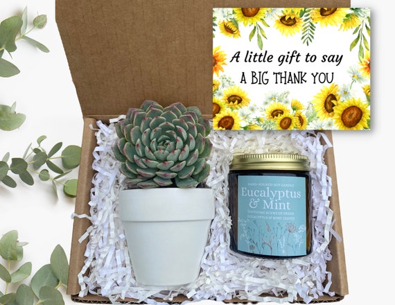 Thank You Gift -  A Little Gift To Say A BIG Thank You - Gift Box - Succulent Gifts - Gift for Appreciation