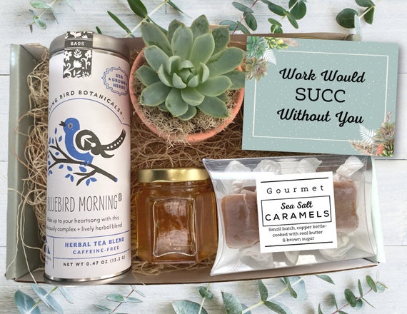 Co-Worker Gift Box - Tea & Plant Gift box -Employee Gift - Client care package with succulent, tea, honey and caramels