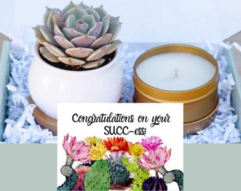Congratulations on Your SUCC-cess Succulent Gift - Way to Go Gift Box - Send a Gift - Gifts that Grow -Succulent Package - Congrats