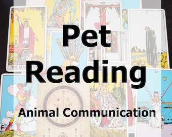 Pet Reading - Animal Communication - Audio Reading