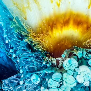 DIGITAL DOWNLOAD printable file of original fluid resin and ink painting