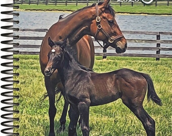 Horse Planner Etsy