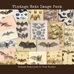 Paquete de tarjetas de álbum de recortes de murciélagos imprimibles, imágenes antiguas de historia natural vintage, efímeras góticas para diarios de recortes