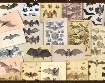 Printable Bat Scrapbook Card Bundle Gothic Junk Journal Ephemera