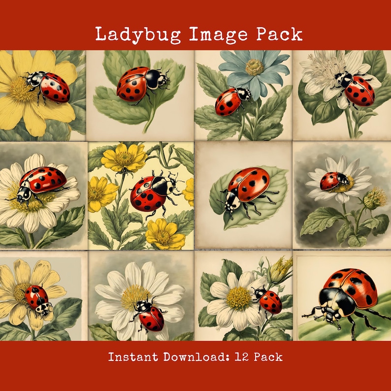 Ladybug Image Pack Printable Vintage Garden Scrapbook Cards Junk ...
