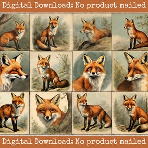 Cartes de journal vintage renard ordures imprimables animaux de la forêt éphémères kit de collage de scrapbooking renard rustique étiquettes-cadeaux