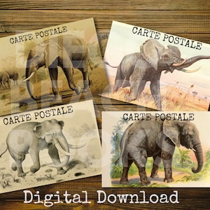 Ensemble vintage imprimable de cartes postales d'éléphant, ensemble de cartes postales d'éléphant, éphémères d'éléphant, journal de rebut d'éléphant, éphémères de safari, techniques mélangées