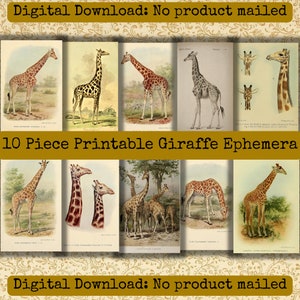 Giraffe Ten Piece Ephemera Printable Set