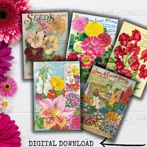 Blumensamen Paket Samen Katalog Werbung Vintage Printable Set 2, Blumen Ephemera Printable, druckbare Garten Junk Journal Kit