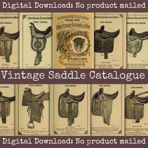 Könnte beinhalten: Ein Vintage-Sattelkatalog mit Illustrationen verschiedener Satteltypen, darunter Seitensättel, Texas-Sättel und Morgan-Seitensättel. Der Katalog stammt von DeCamp Lenoy's Co. Saddlery in Cincinnati, Ohio.