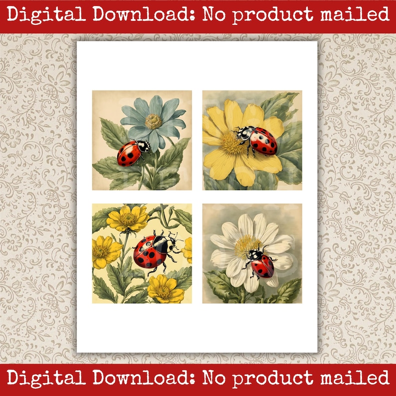 Ladybug Image Pack Printable Vintage Garden Scrapbook Cards Junk ...