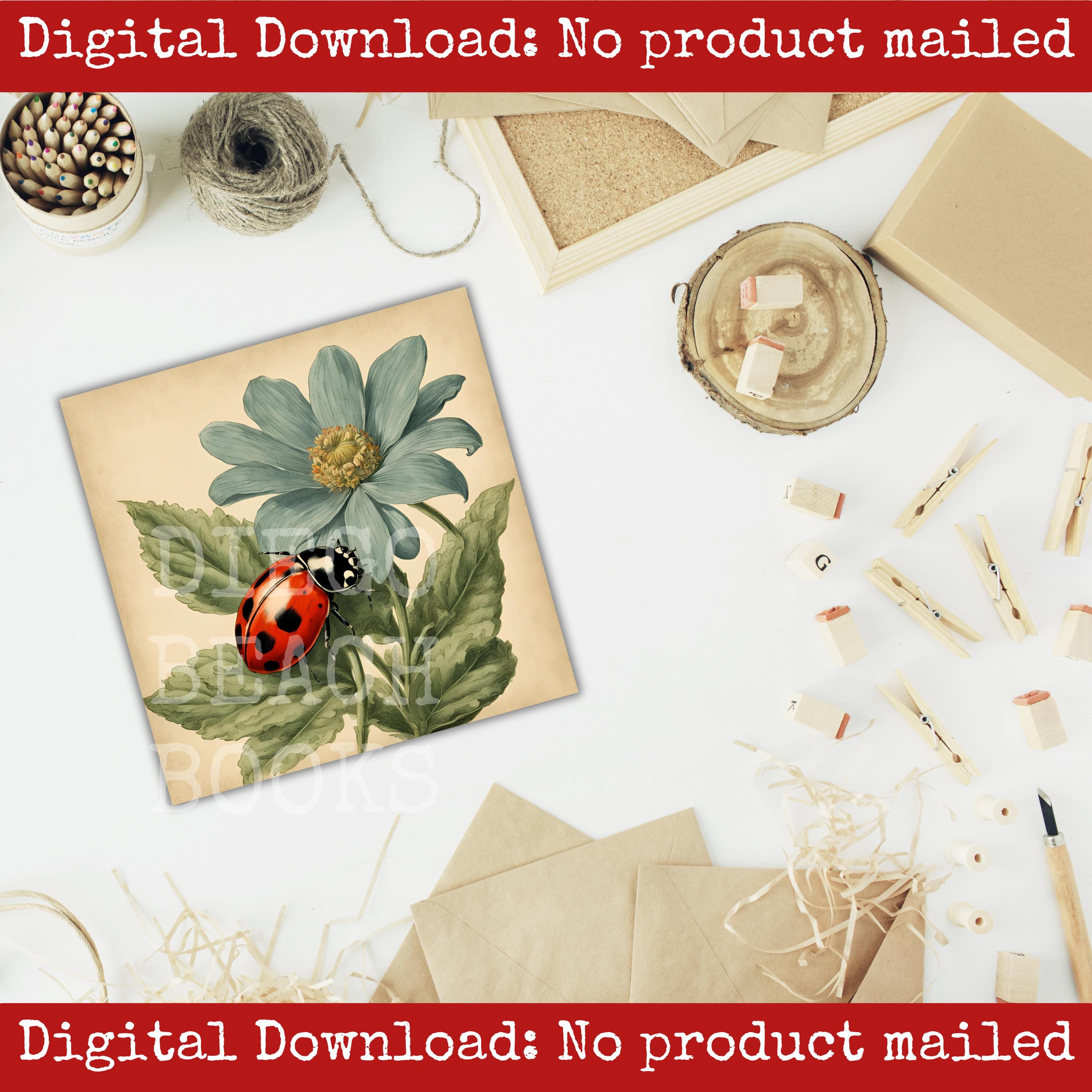 Ladybug Image Pack Printable Vintage Garden Scrapbook Cards Junk ...