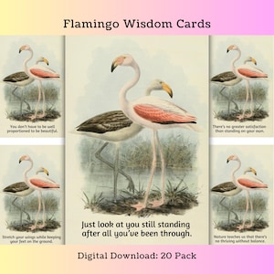 Printable Life Advice from a Flamingo Scrapbook Cards Tropical Junk Journal Kit
