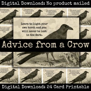 Advice from a Crow Druckbare Karten Scrapbook Ephemera Junk Journal Kit Grunge Gothic Printables Orakel Karten Dark Academia Witchcore Raven