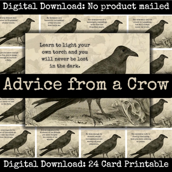 Dark Crow Kit Dark Crow Kit