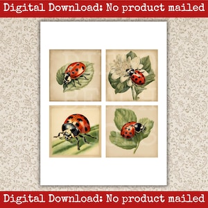 Ladybug Image Pack Printable Vintage Garden Scrapbook Cards Junk ...