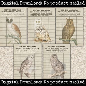 Kit d'éphémères hibou vintage cartes de bibliothèque imprimables hibou étiquettes de scrapbooking cartes journal indésirable Images de hibou feuille de collage nature téléchargement