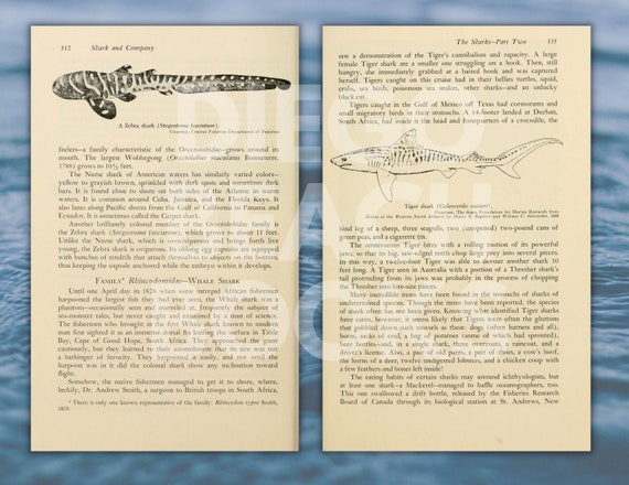 Vintage Shark Book Pages Ten Piece Digital Download Ephemera Pack