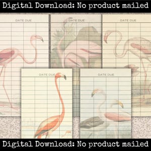 Flamingo Bibliothek Karte Set Tropisch Ephemera Vintage Junk Journal Kit Strand Sammelalbum Collage Blatt Papier Handwerk Zubehör Exotisches Paradies DIY