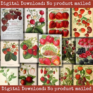 Vintage Strawberry Ephemera Garden Scrapbook Junk Journal Cards Farmstead Image Pack Baker Cooking Garden Collage Papers Spring Image Pack