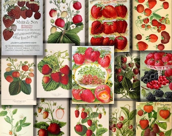 Paquete de efímeras de fresas, tarjetas imprimibles de efímeras de diario basura de jardín vintage, álbumes de recortes