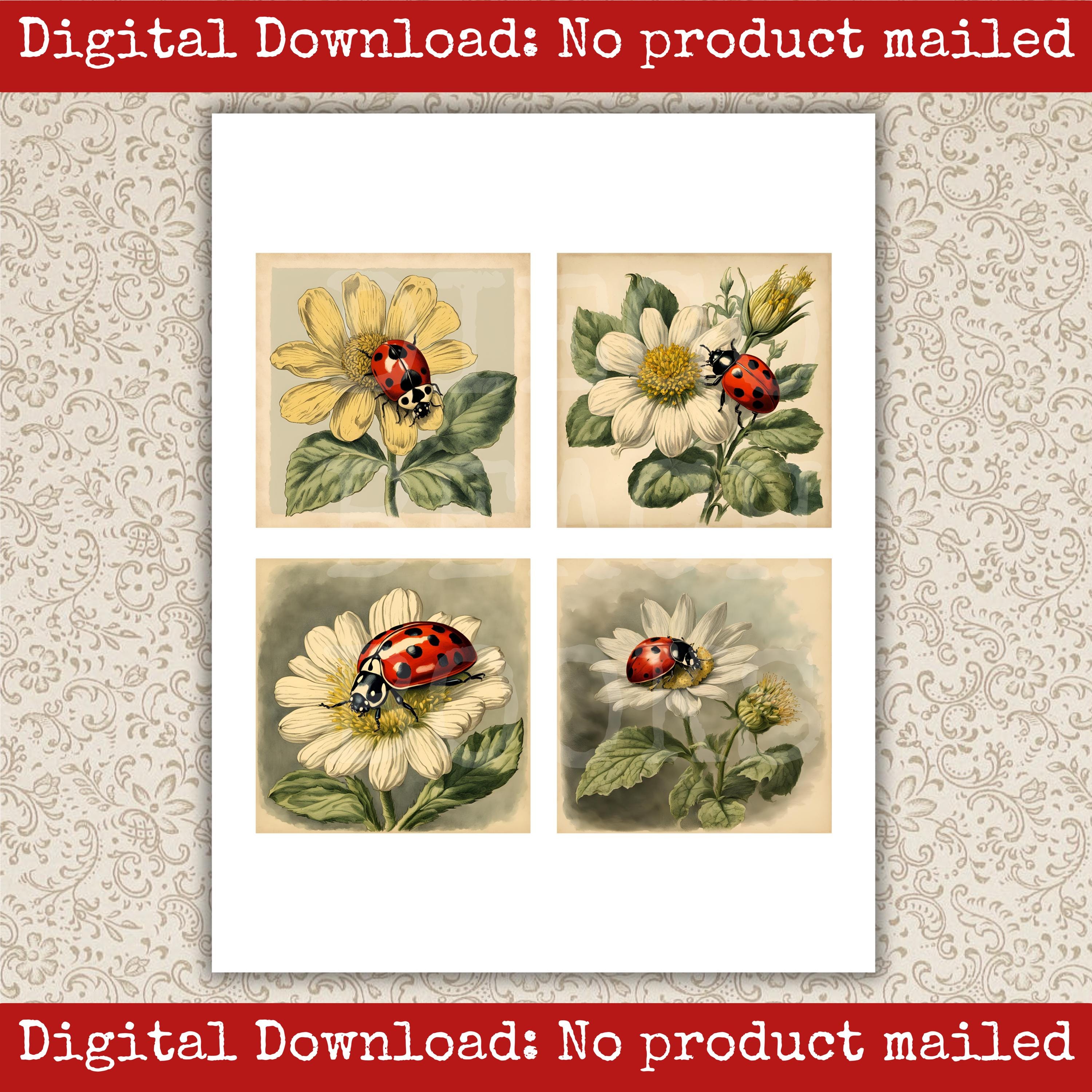 Ladybug Image Pack Printable Vintage Garden Scrapbook Cards Junk ...