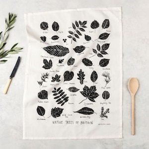 Puede incluir: Un paño de cocina blanco con ilustraciones negras de hojas de árboles británicos y sus nombres. El texto "Native Trees of Britain" está impreso en la parte inferior. También hay una cuchara de madera, una ramita de vegetación y un cuchillo.