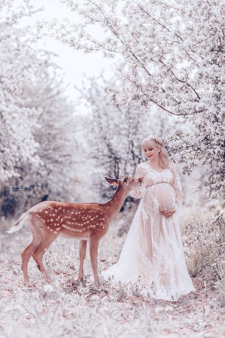 Royal Maternity Dress for Photo Shoots 