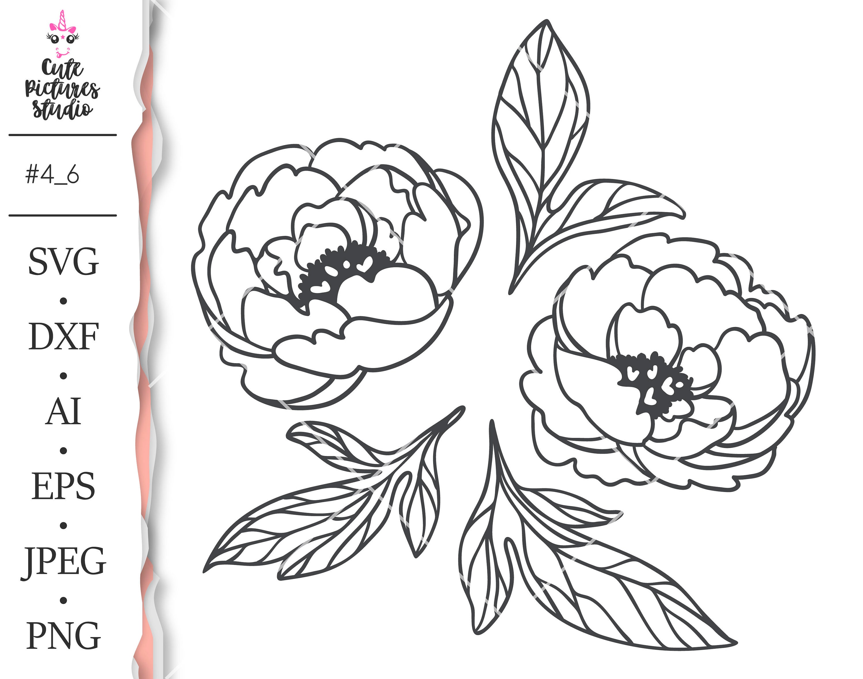 Download Set Of Peony Flowers Cricut Svg Cut File Peony Dxf Eps Peony Etsy