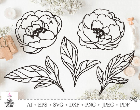 Download Graceful peony flowers. Peony leaves svg. flower wreath ...