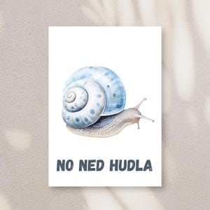 Schwäbische Postkarte A6 - No ned hudla.