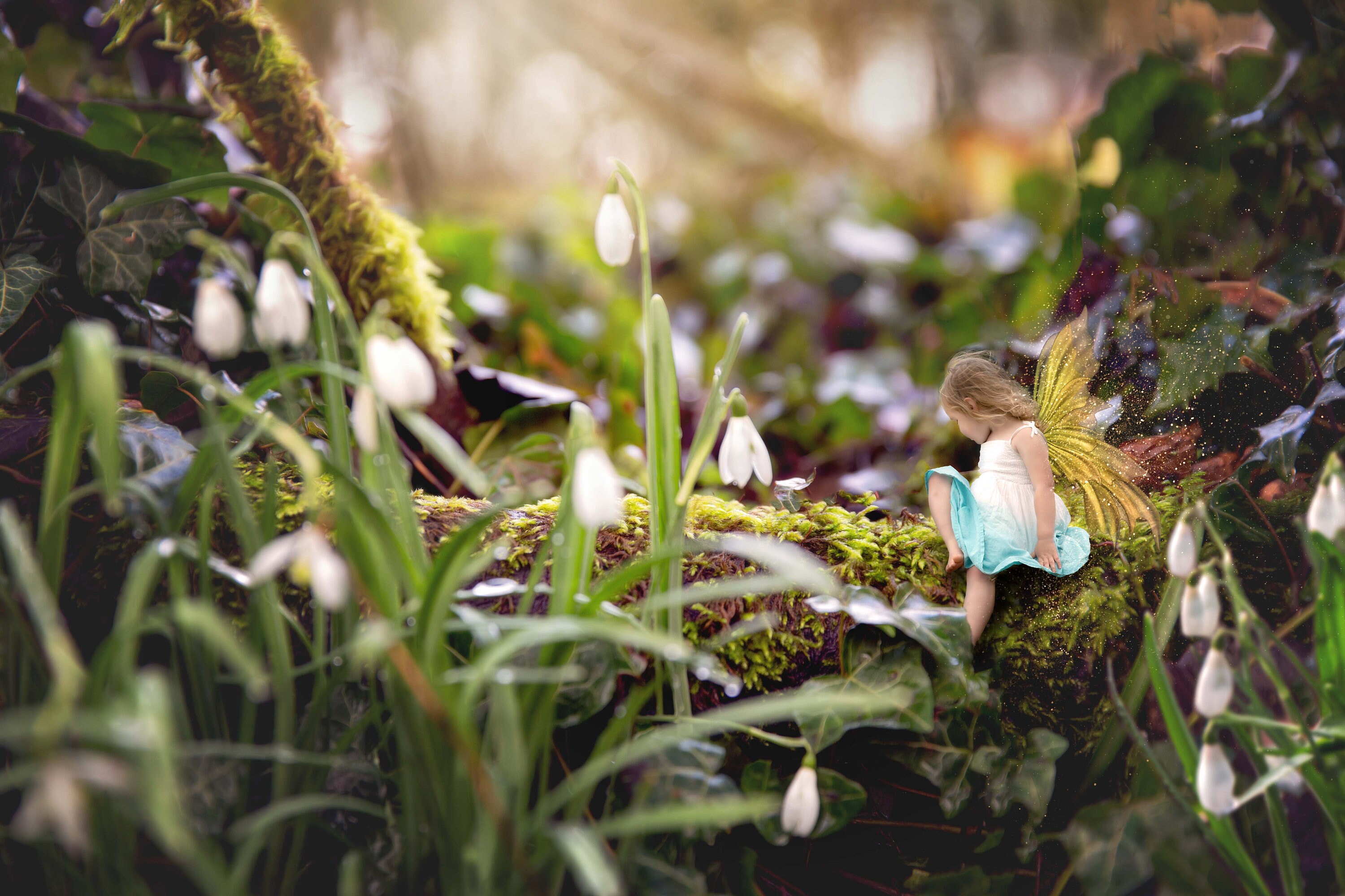 Snowdrop fairy digital background | Etsy