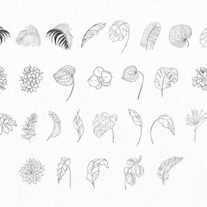 May include: A set of 30 black and white line drawings of tropical leaves and flowers. The illustrations include palm leaves, monstera leaves, orchids, and other tropical foliage.