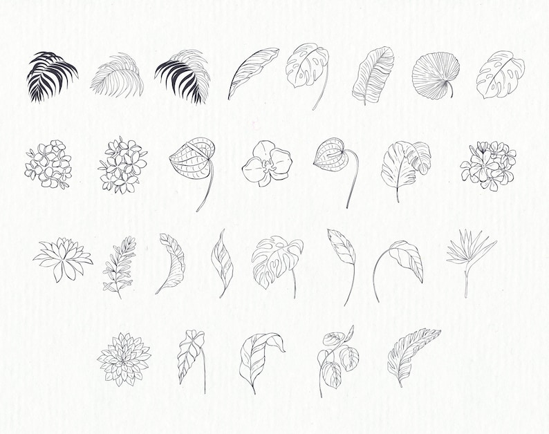 May include: A set of 30 black and white line drawings of tropical leaves and flowers. The illustrations include palm leaves, monstera leaves, orchids, and other tropical foliage.